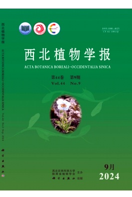 西北植物学报杂志封面