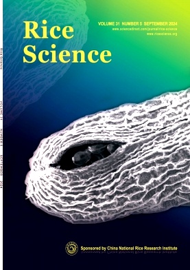 水稻科学(英文版)杂志封面