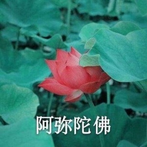 甘蔗的头像